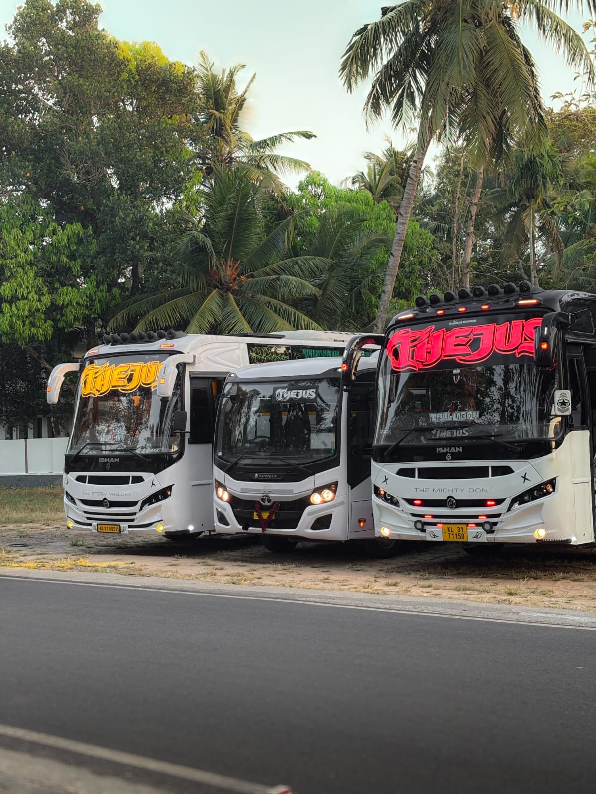 Tourist Bus Fleet